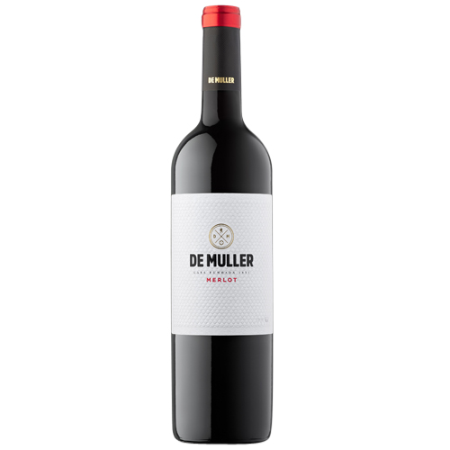 Merlot Crianza 2021