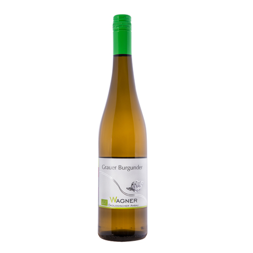 Grauer Burgunder 2022  Pinot Gris hvidvin