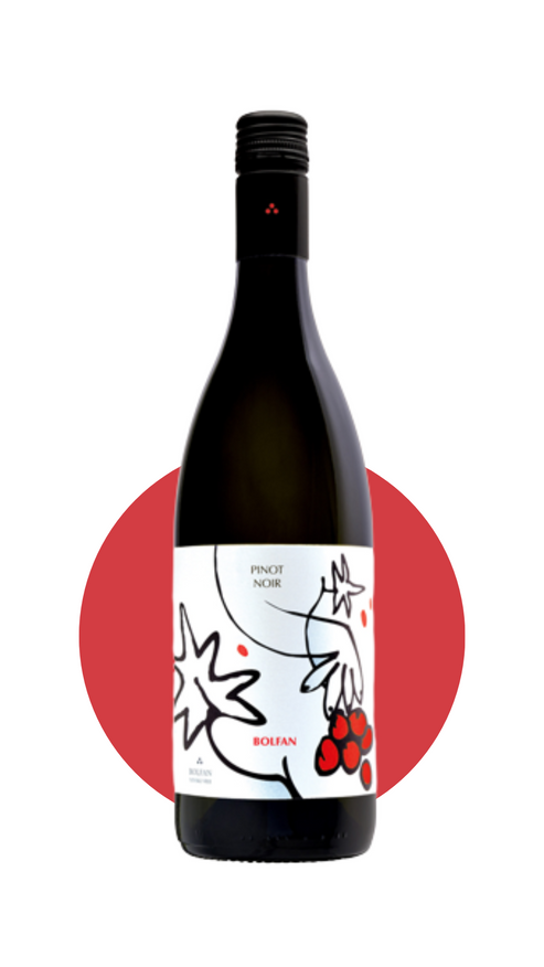 Pinot Noir 2020